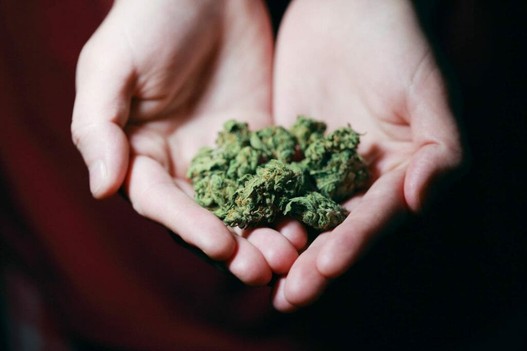 Elevate Your High With The Best Ontario edibles Strains | BC Weed Edible Canada | BC Weed Edible Canada