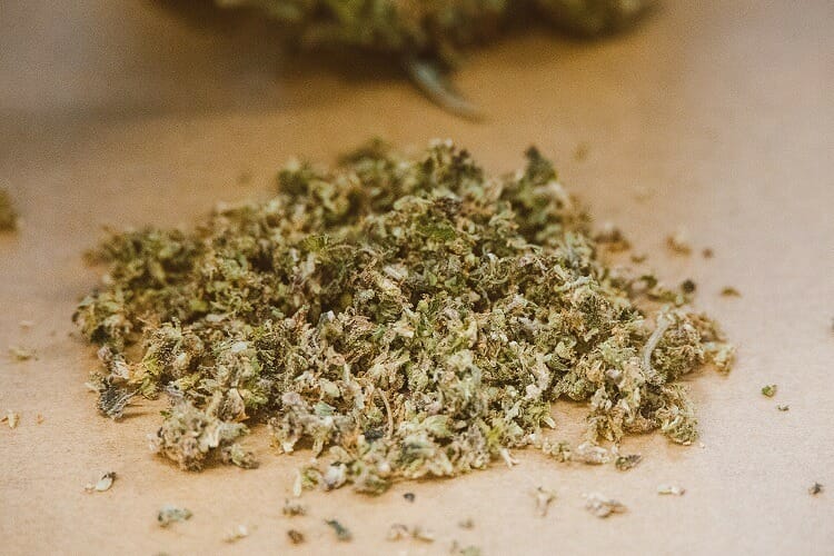 BC Weed Edible Canada Canada | BC Weed Edible Canada