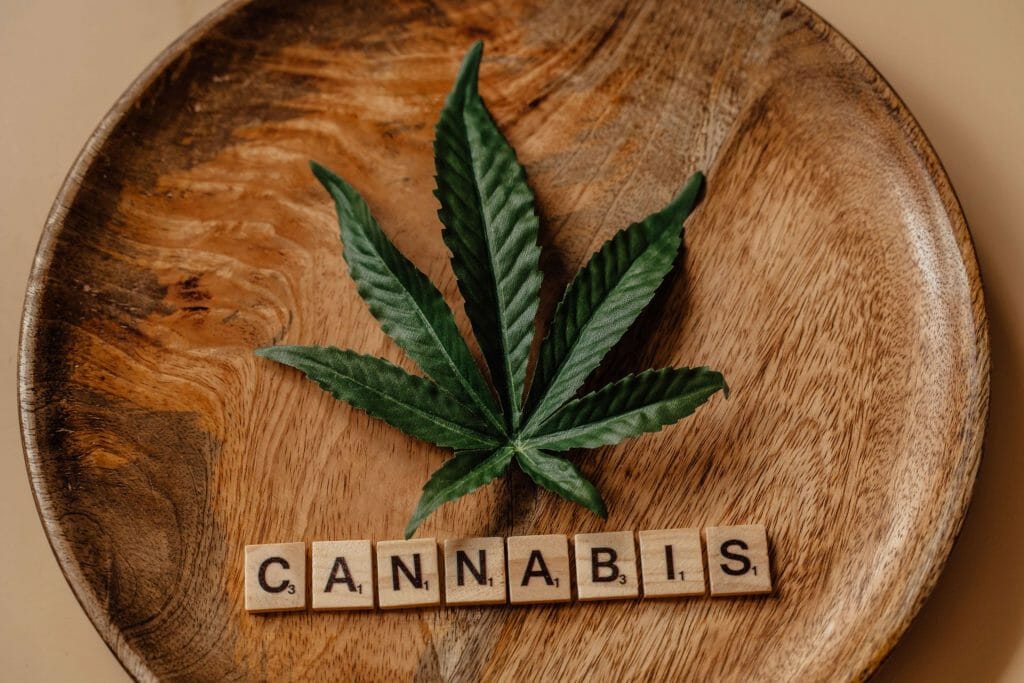 Beyond the Bud: The Role of a edibles Dispensary in Promoting Wellness | BC Weed Edible Canada | BC Weed Edible Canada