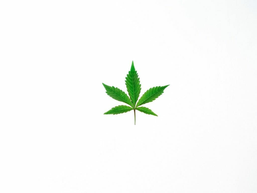 Benefits of Shopping in a BC edibles Online Dispensary | BC Weed Edible Canada
