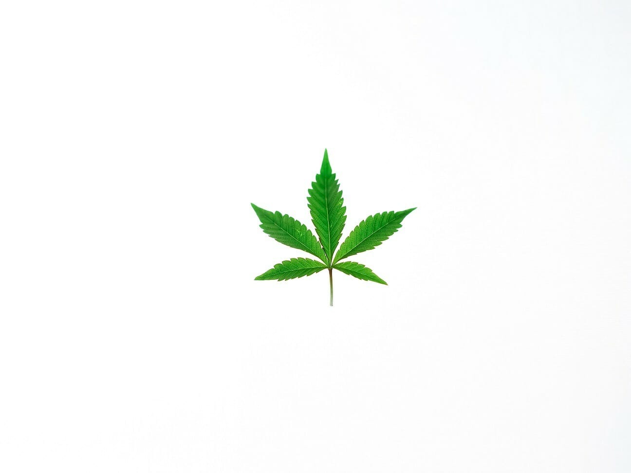 Benefits of Shopping in a BC edibles Online Dispensary | BC Weed Edible Canada