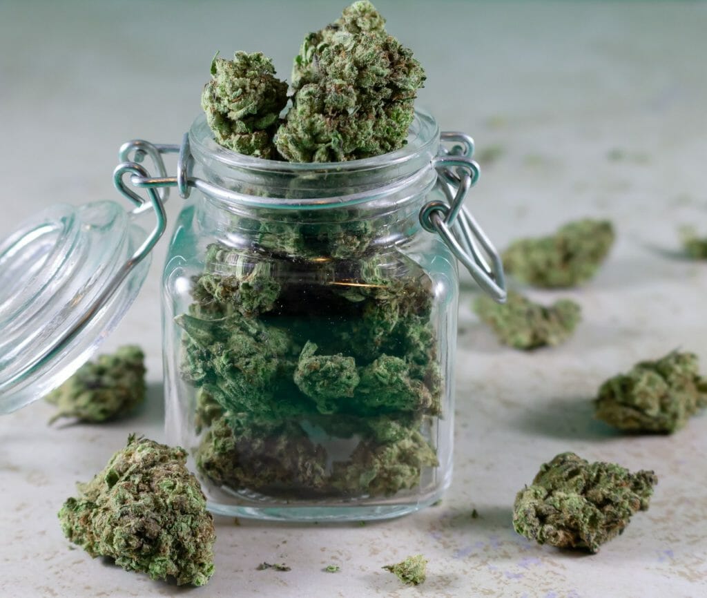 Bulk Weed: Unlocking the Power of Wholesale Cannabis | BC Weed Edible Canada | BC Weed Edible Canada