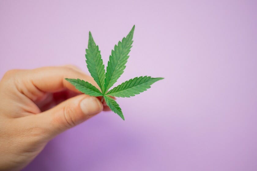 Discover How A edibles Shop Helps You Better Understand Cannabis | BC Weed Edible Canada | BC Weed Edible Canada
