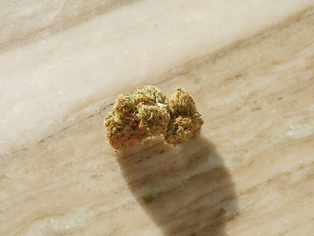 Grasslife edibles Strains in Canada | BC Weed Edible Canada