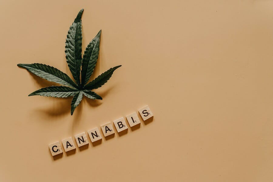 Cannabis weed | BC Weed Edible Canada