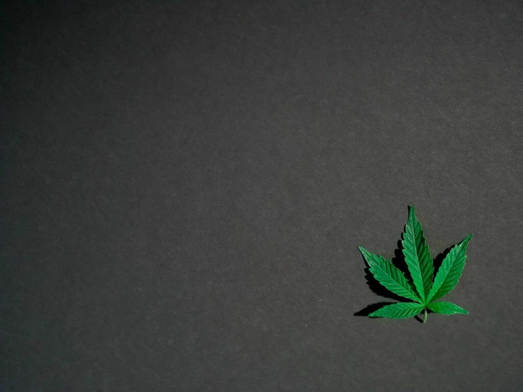 Hybrid Weed | BC Weed Edible Canada