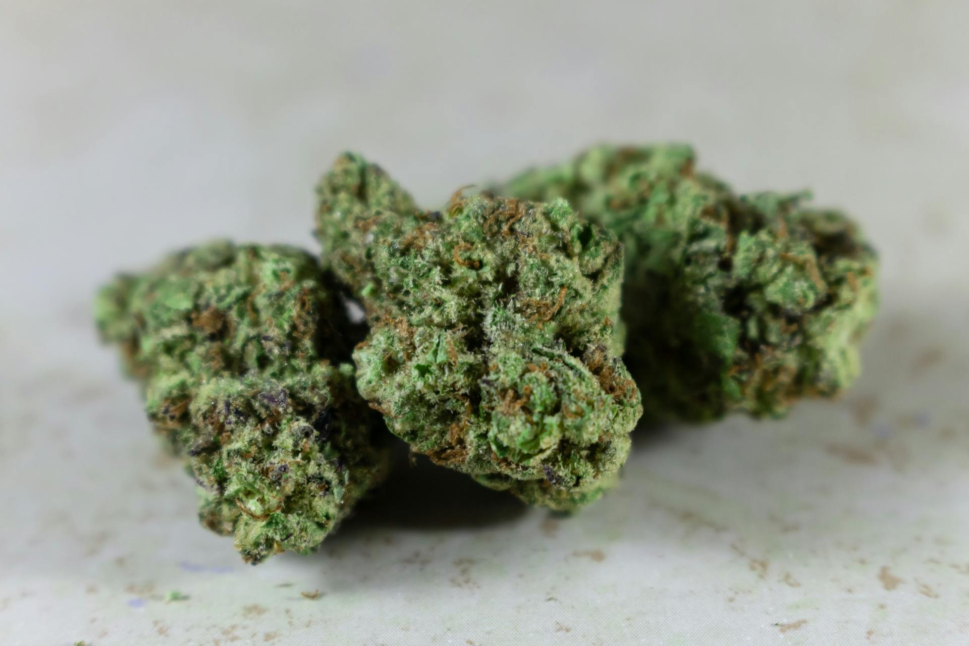 | BC Weed Edible Canada Best Indica Online in Canada | BC Weed Edible Canada