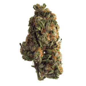 Grape Crush | BC Weed Edible Canada