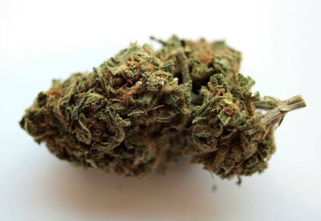 Buy edibles online | BC Weed Edible Canada