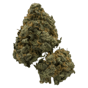 Mandarin Cookie (popcorn) | BC Weed Edible Canada