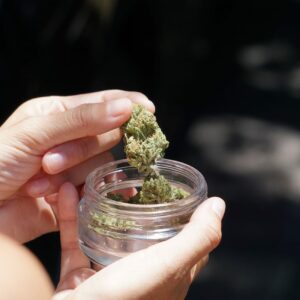 ounce of edibles in Canada | BC Weed Edible Canada